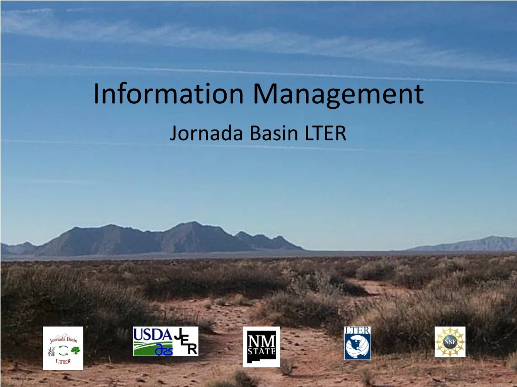 information management n.