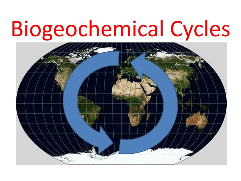 biogeochemical cycles n.
