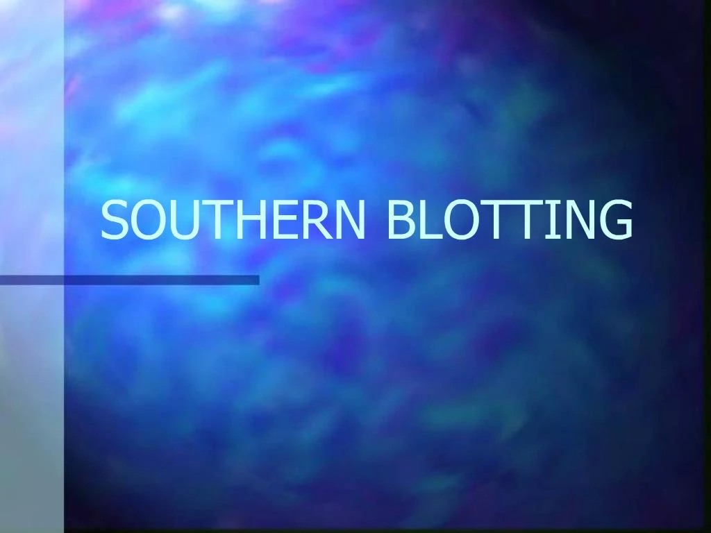 PPT - SOUTHERN BLOTTING PowerPoint Presentation, Free Download - ID:336691