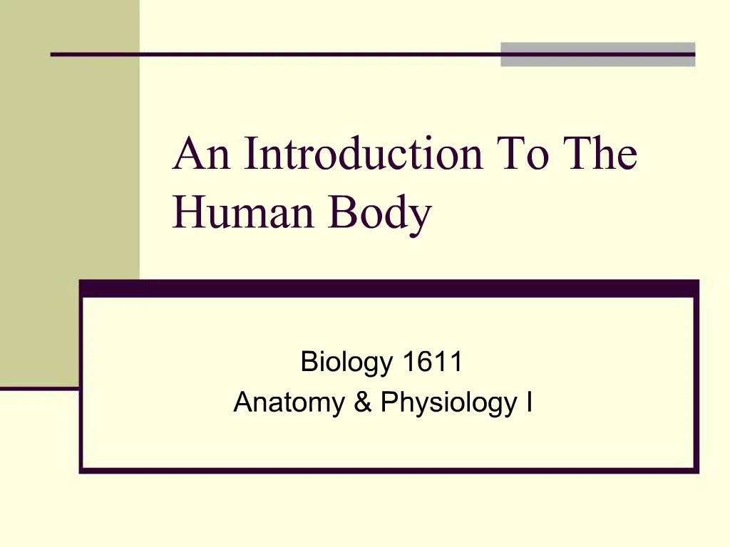 Ppt An Introduction To The Human Body Powerpoint Presentation Free Download Id337897 