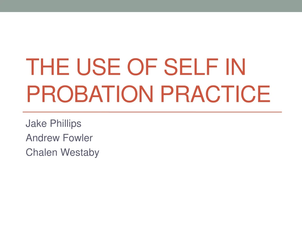 the use of self in probation practice n.