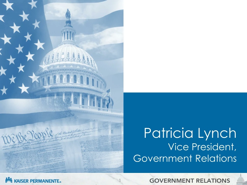 patricia lynch vice president government relations n.