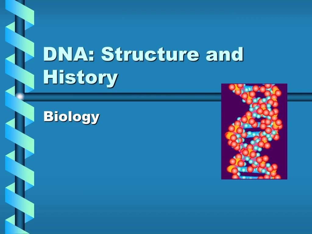 dna structure and history n.