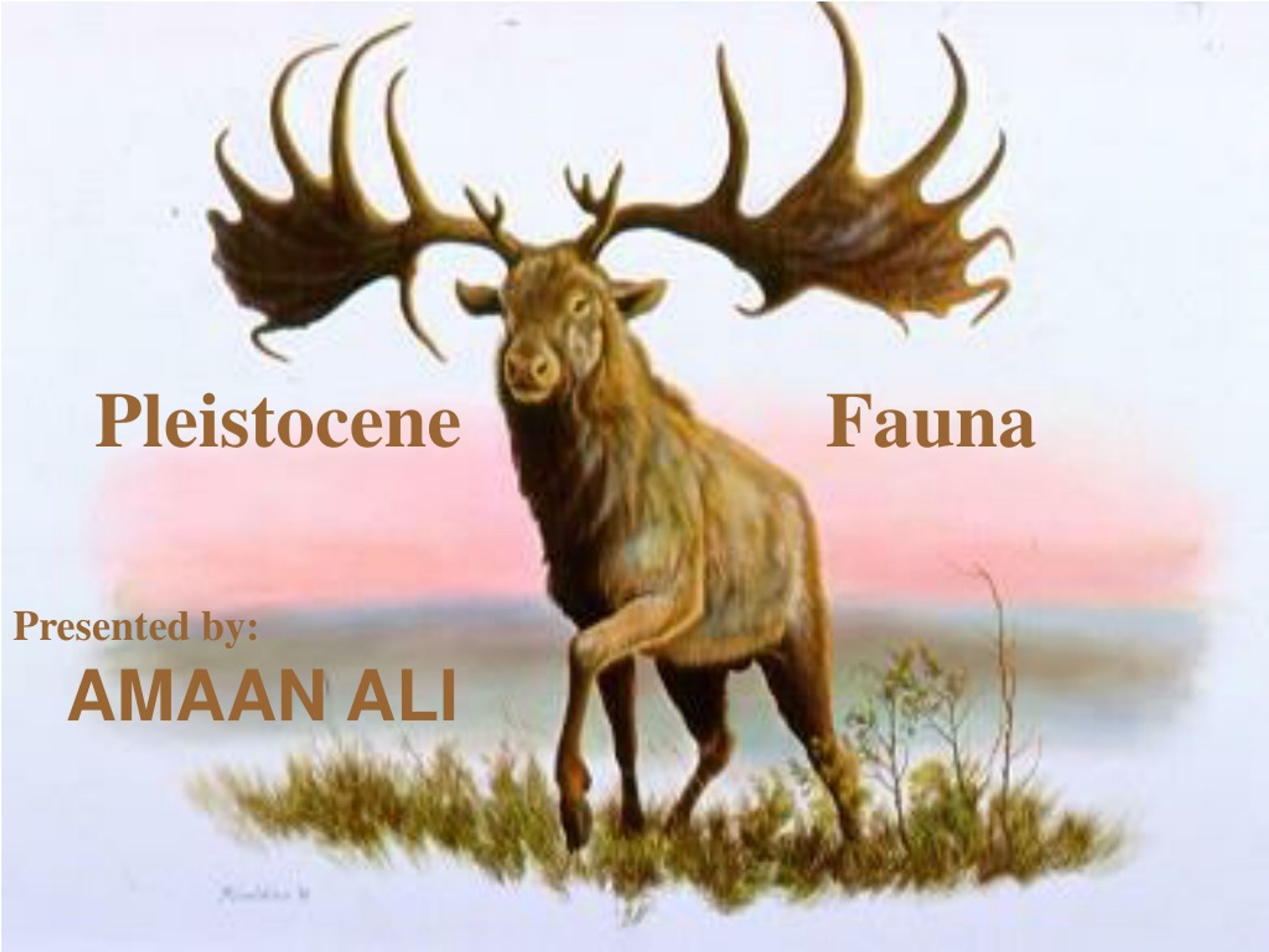PPT - Pleistocene Fauna PowerPoint Presentation, free download - ID:341200