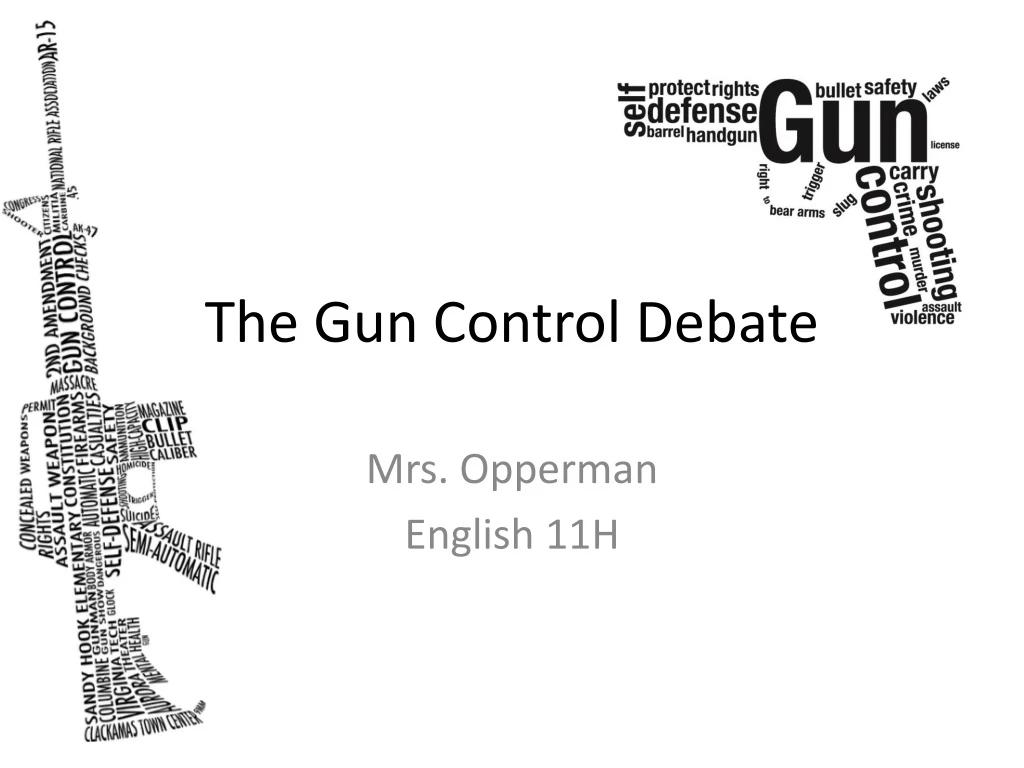 the gun control debate n.