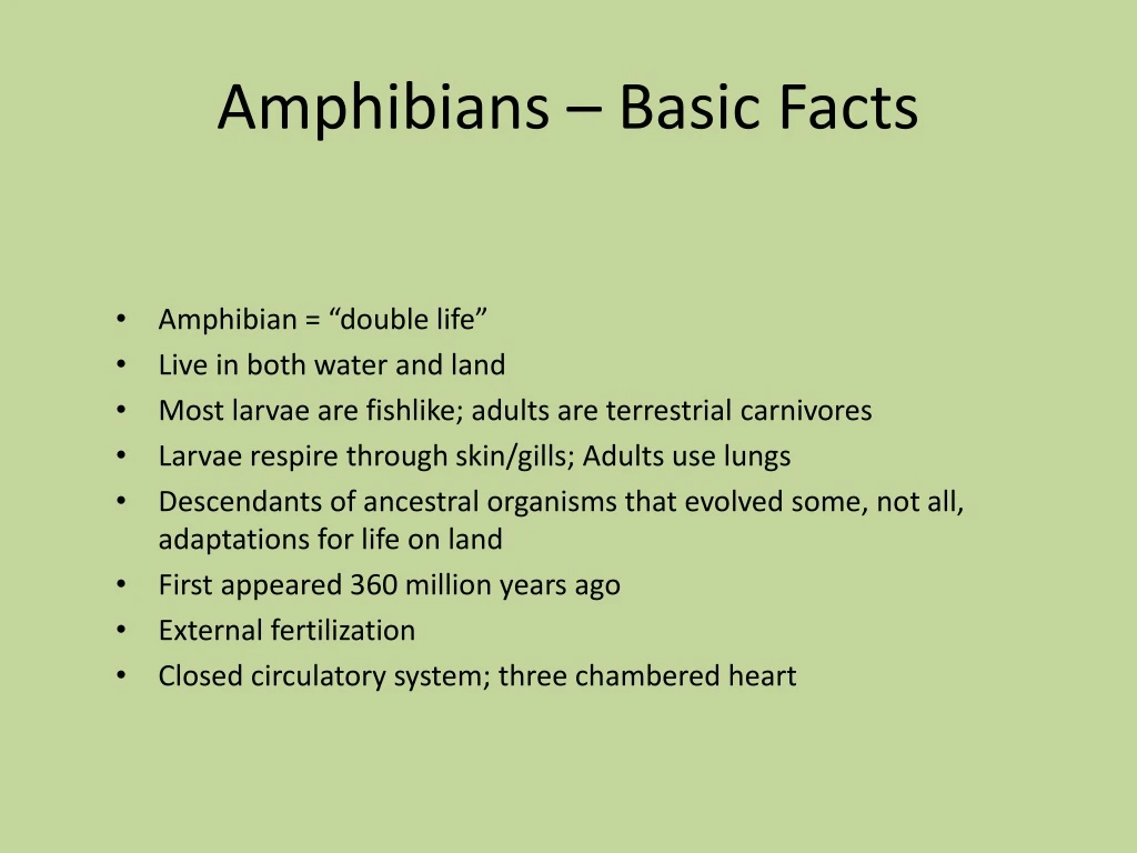 PPT - Amphibians – Basic Facts PowerPoint Presentation, free download