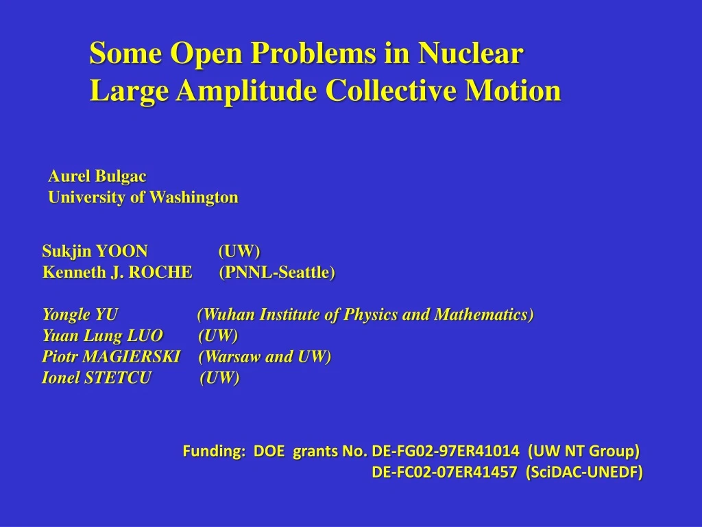some open problems in nuclear large amplitude n.
