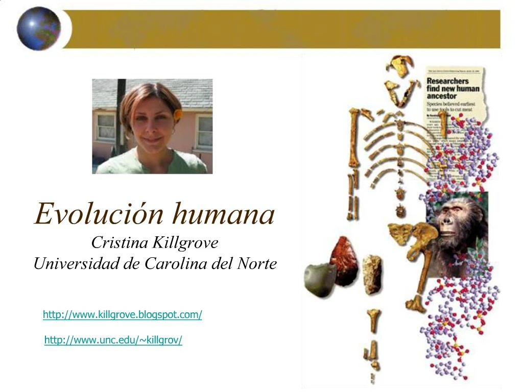 PPT - Evoluci N Humana Cristina Killgrove Universidad De Carolina Del ...