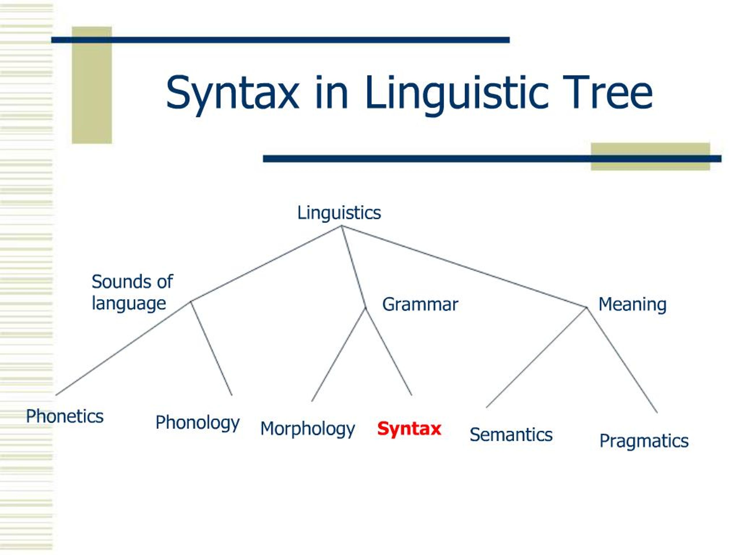 PPT - Introduction to English Syntax PowerPoint Presentation, free download  - ID:349895