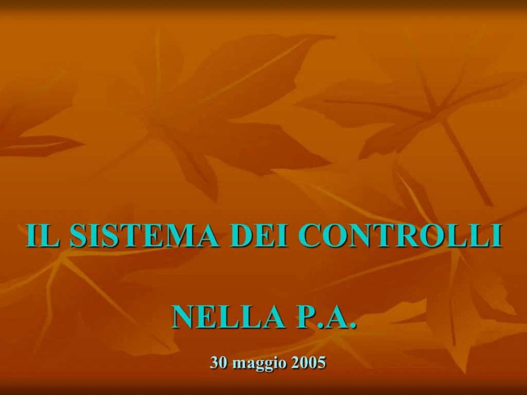 PPT - IL SISTEMA DEI CONTROLLI NELLA P.A. 30 maggio 2005 PowerPoint