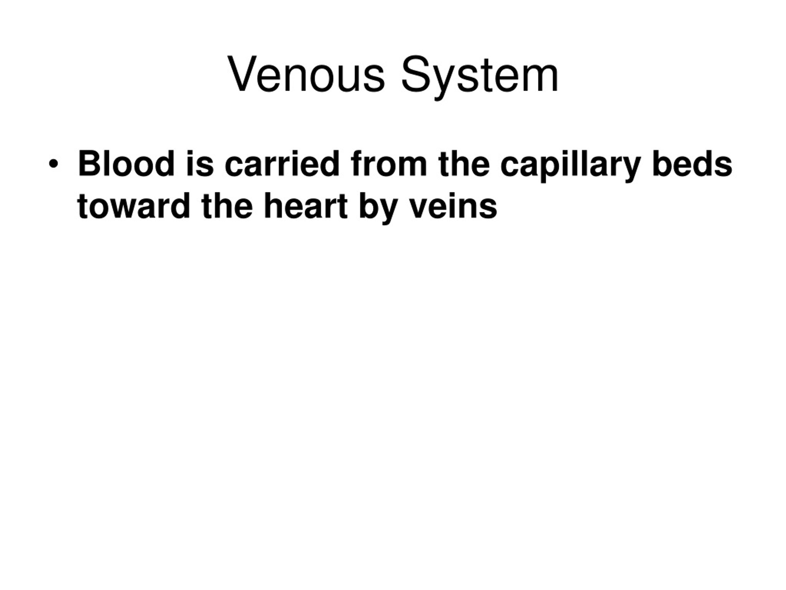 PPT - THE CARDIOVASCULAR SYSTEM: BLOOD VESSELS PowerPoint Presentation