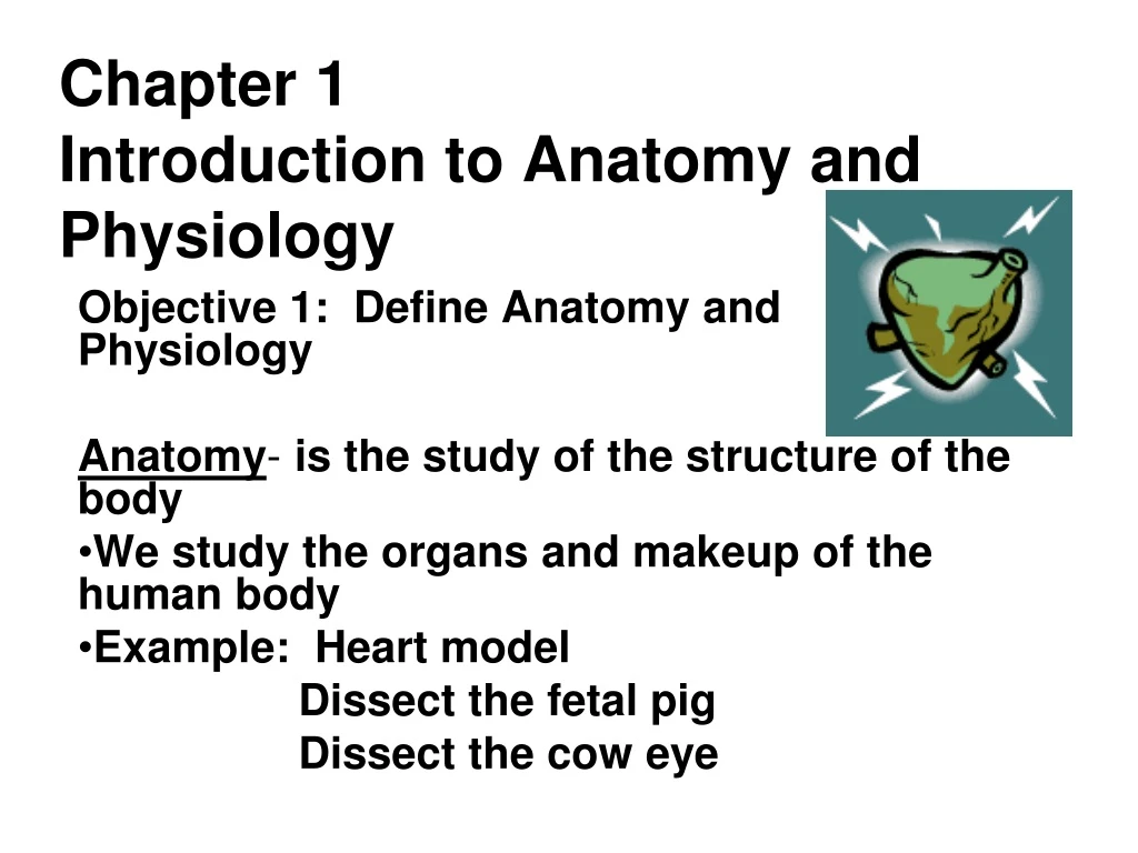 ppt-chapter-1-introduction-to-anatomy-and-physiology-powerpoint