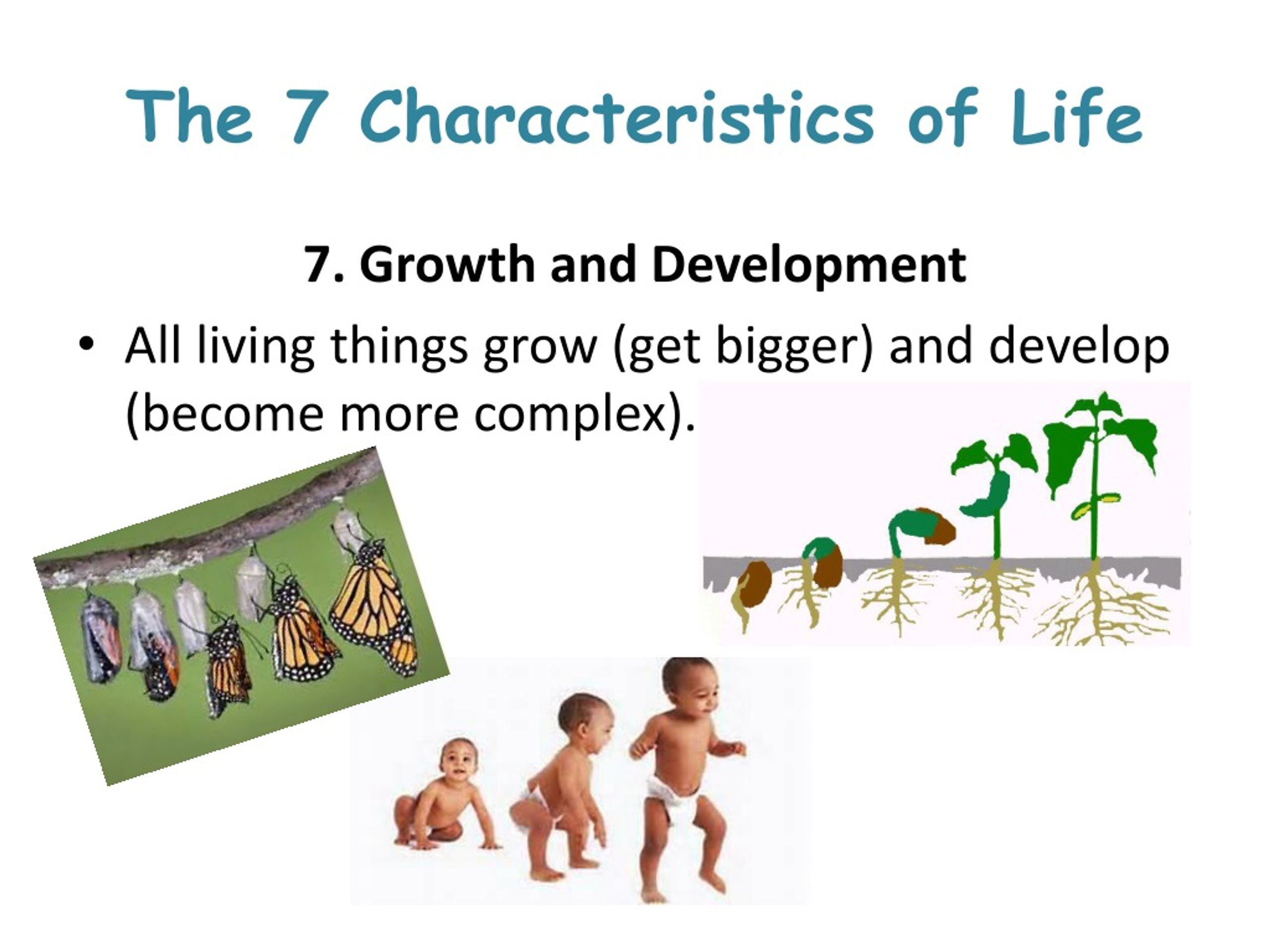 2-1-1-characteristics-of-living-things-youtube