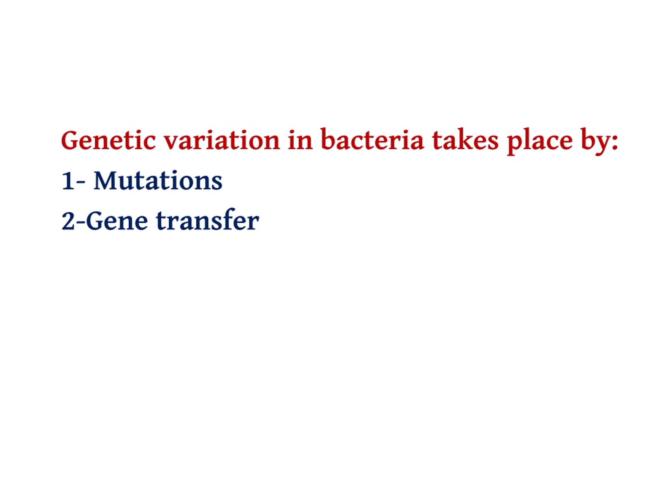 PPT - Bacterial Structure , Function & Genetics PowerPoint Presentation