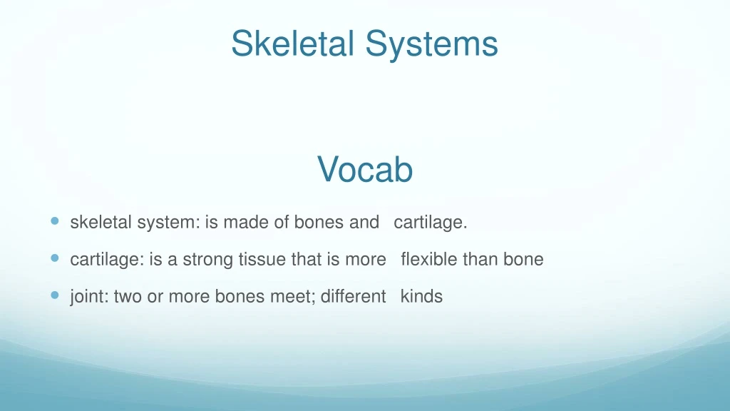 skeletal systems vocab n.