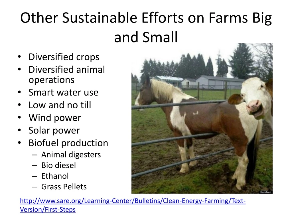 other sustainable efforts on farms big and small n.