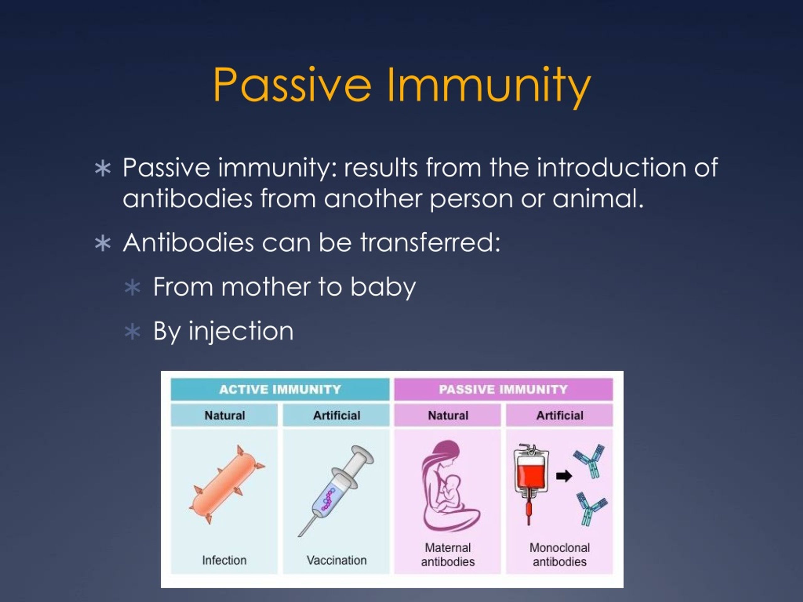 PPT The Immune System PowerPoint Presentation Free Download ID 369640