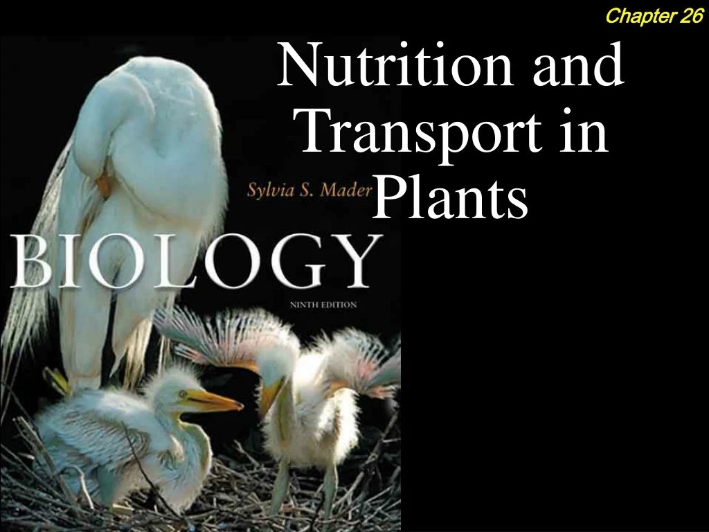 nutrition and transport in plants n.