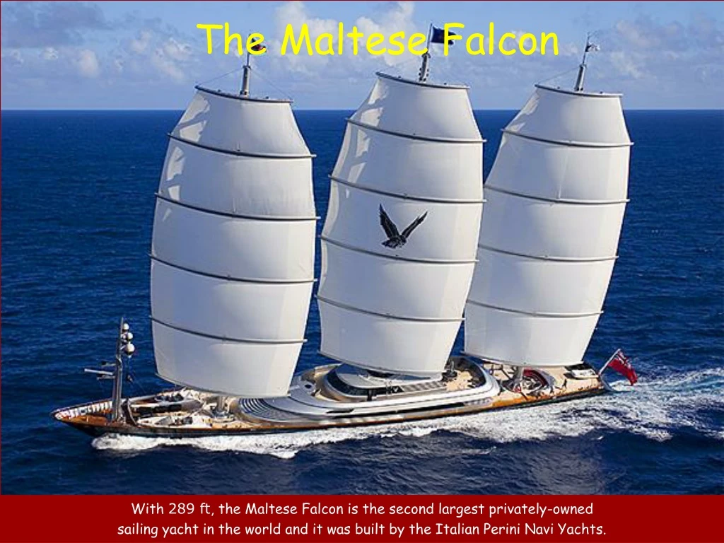 the maltese falcon n.