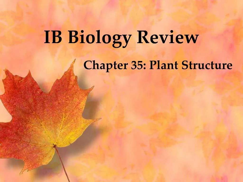 Ppt Ib Biology Review Powerpoint Presentation Free Download Id373743 7478