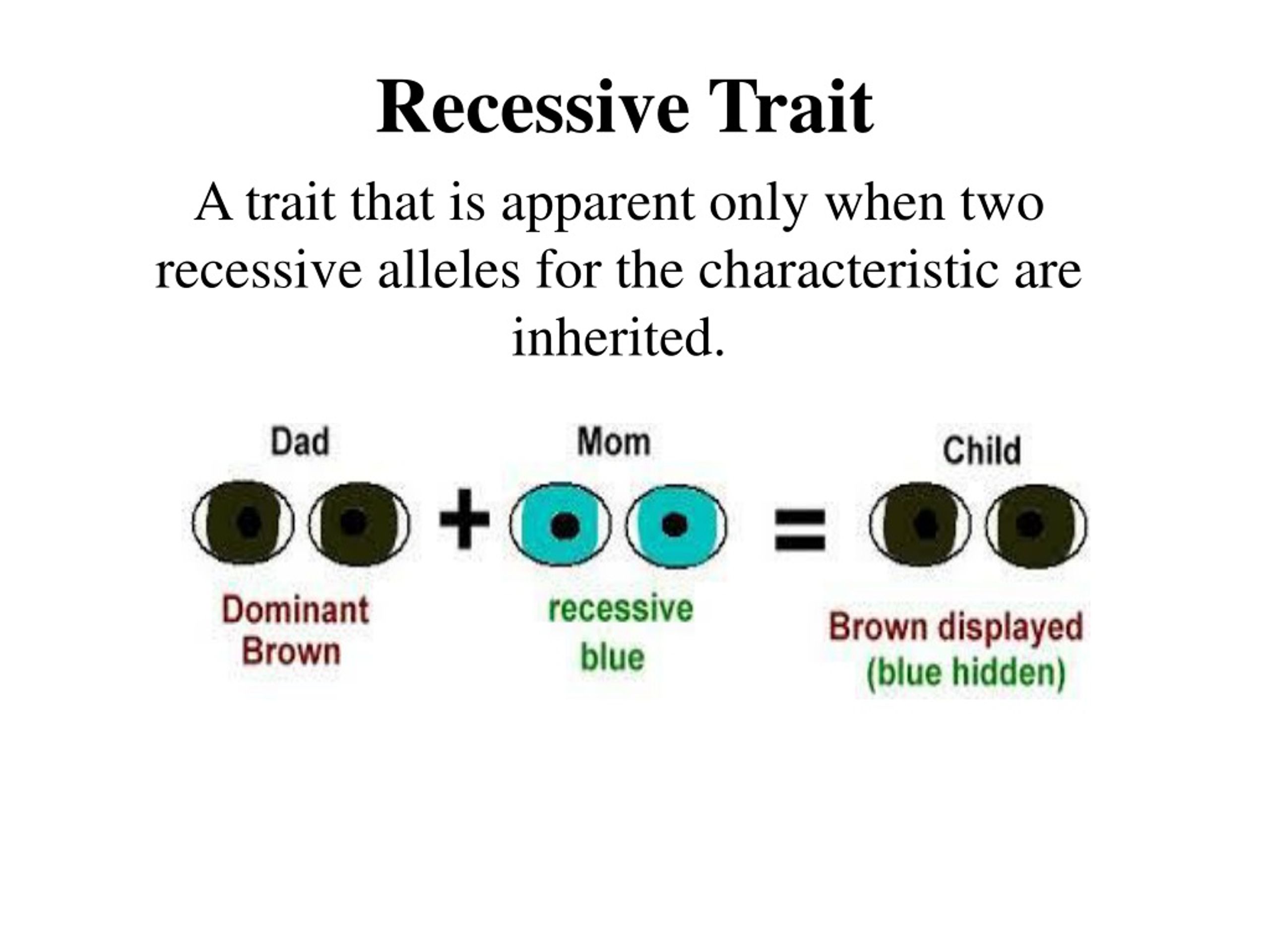 what is a recessive trait definition
