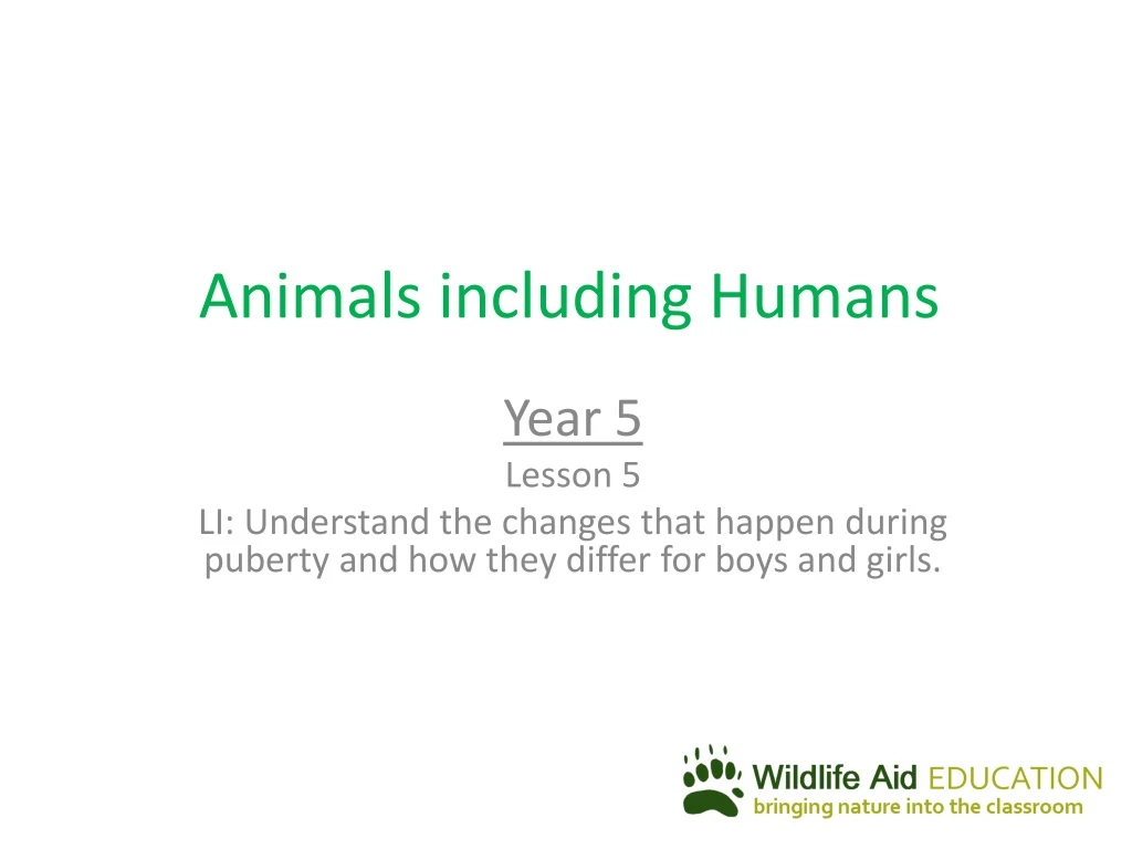 animals including humans n.