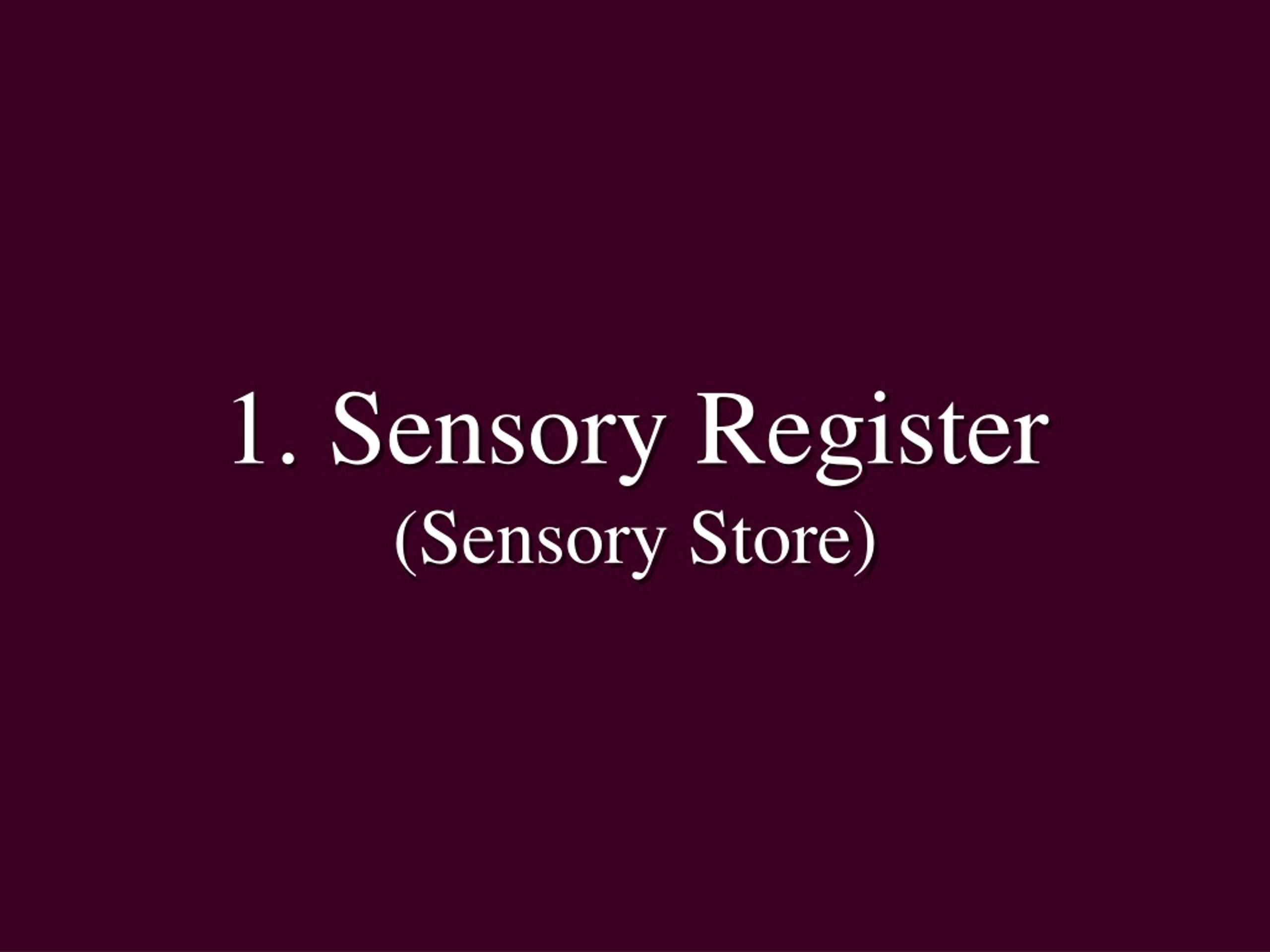 Sensory Store Encoding PPT - Memory PowerPoint Presentation, free download - ID:377221