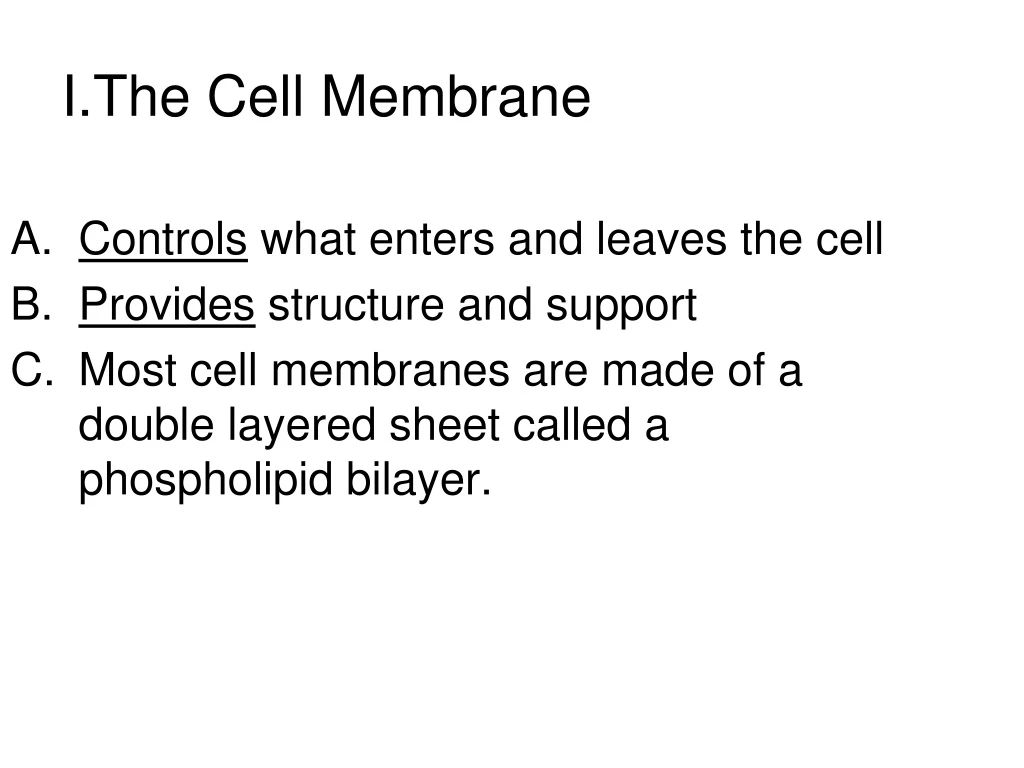 i the cell membrane n.