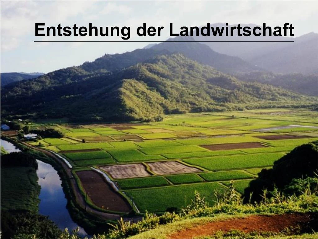 PPT - Entstehung der Landwirtschaft PowerPoint Presentation, free ...