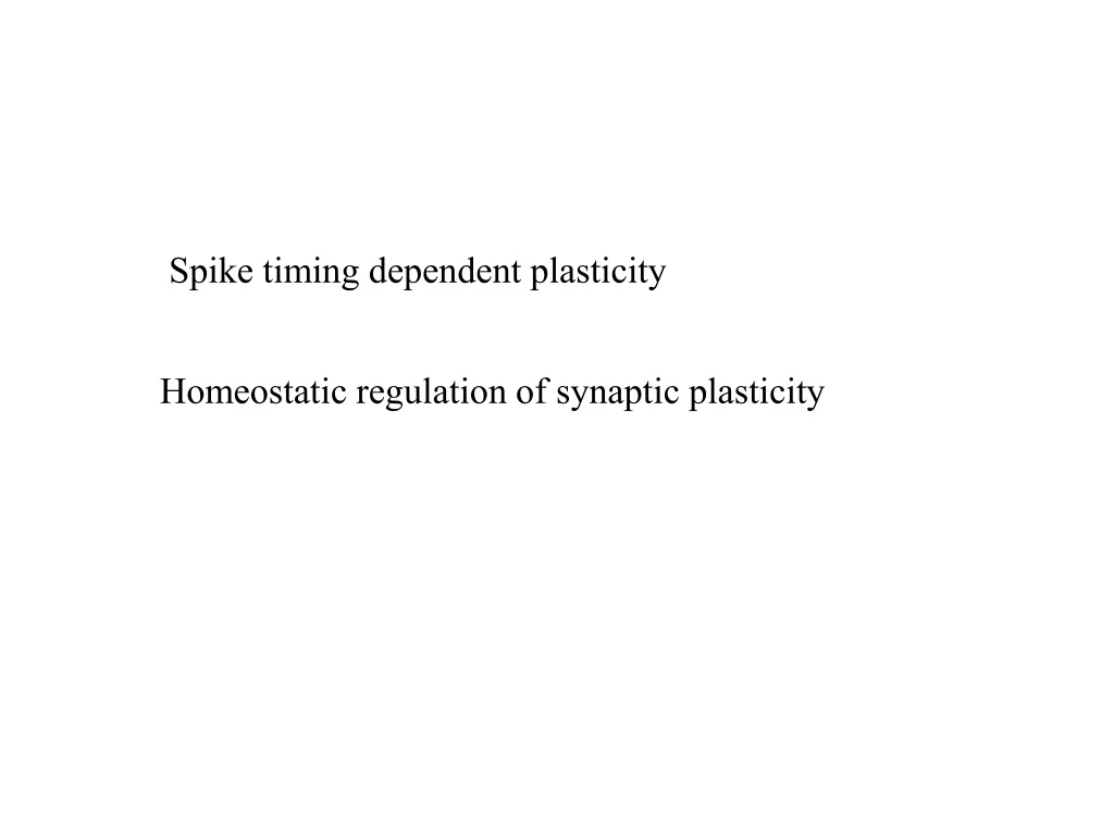 spike timing dependent plasticity n.