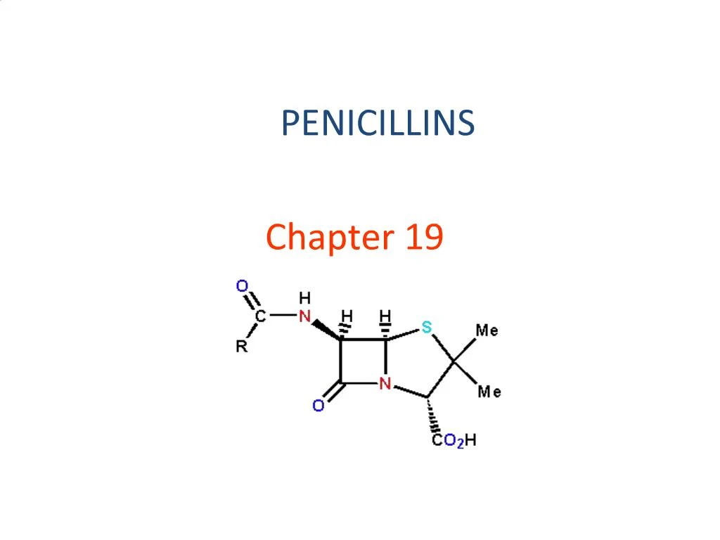 PPT - PENICILLINS PowerPoint Presentation, Free Download - ID:389424