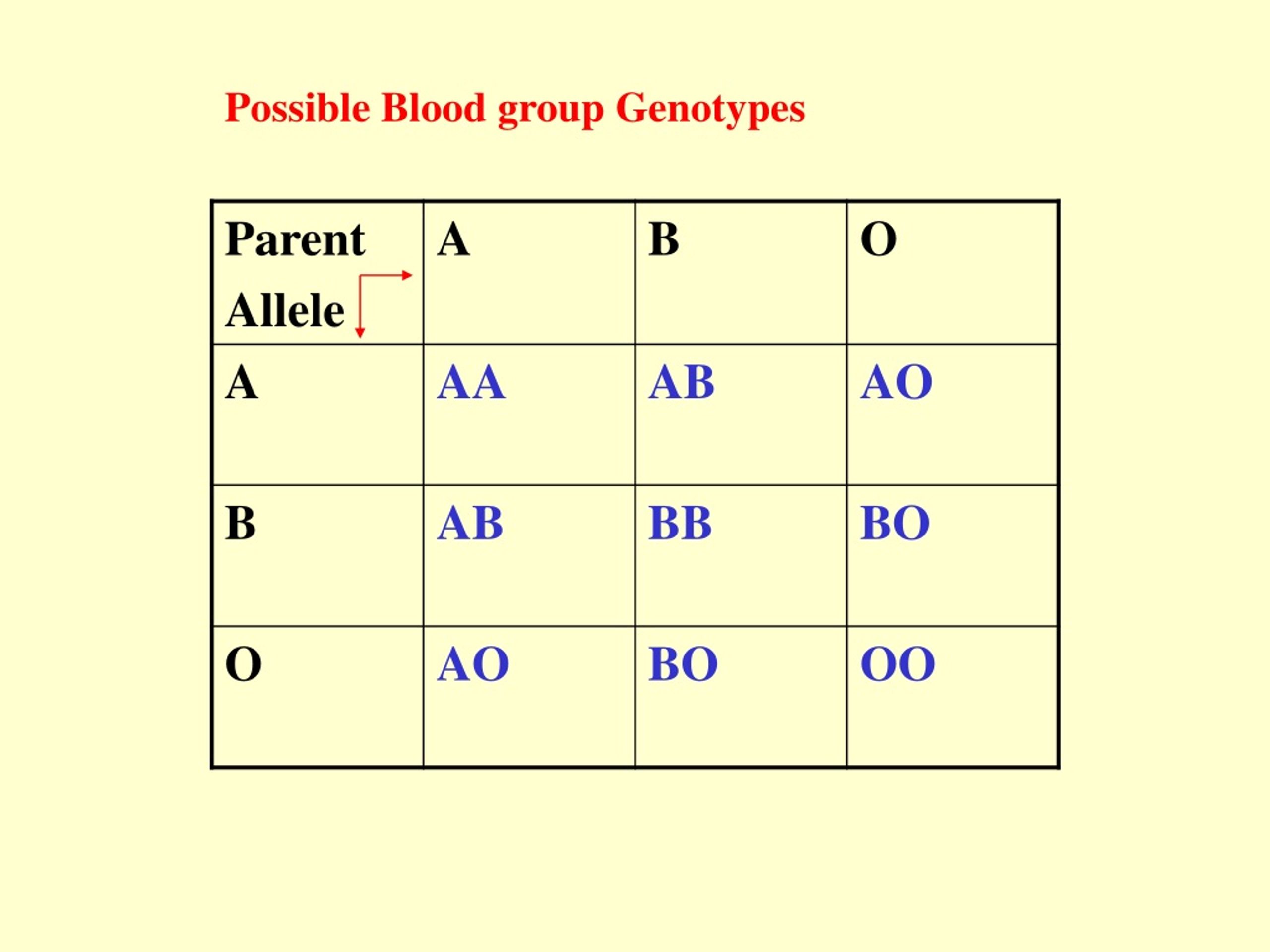 List The Possible Genotypes And Phenotypes