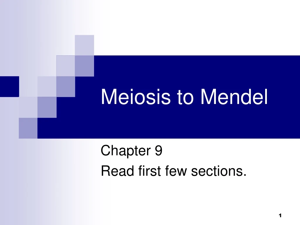 meiosis to mendel n.