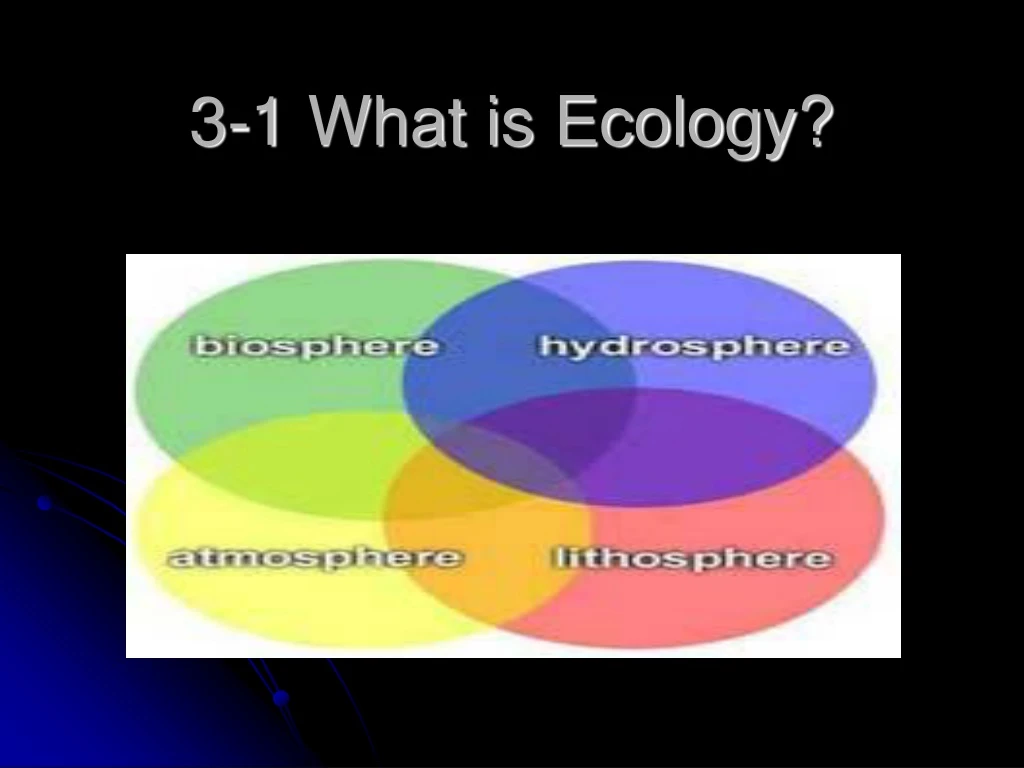 3 1 what is ecology n.