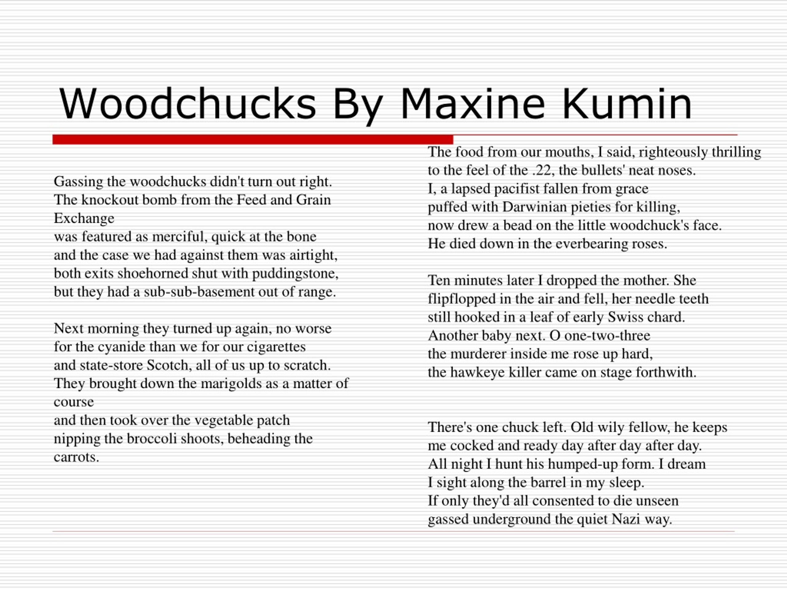 Analysis Of Maxe Kumins Woodchucks