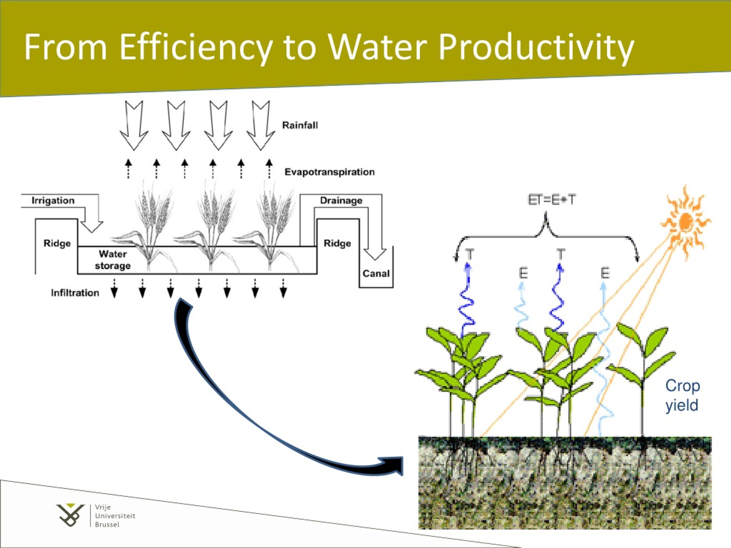 Ppt Water Productivity Using Et Estimations From Remote Sensing And