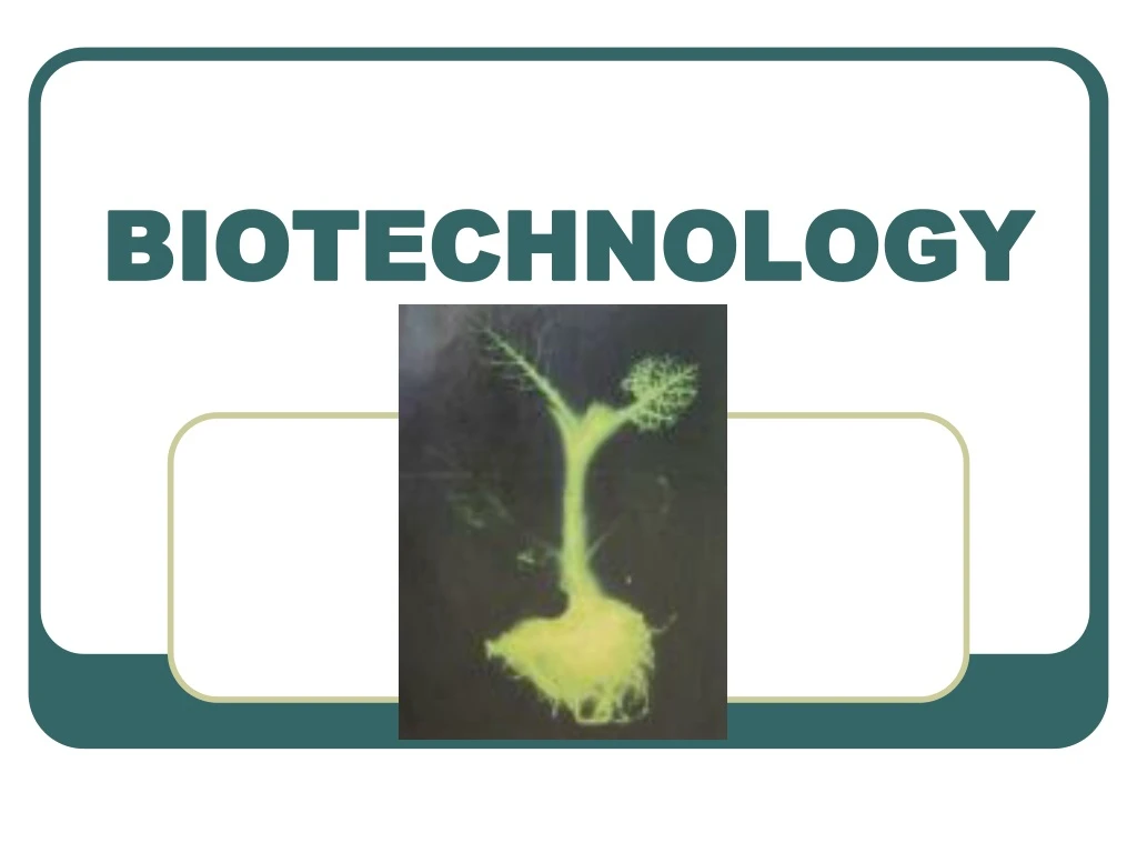 biotechnology n.