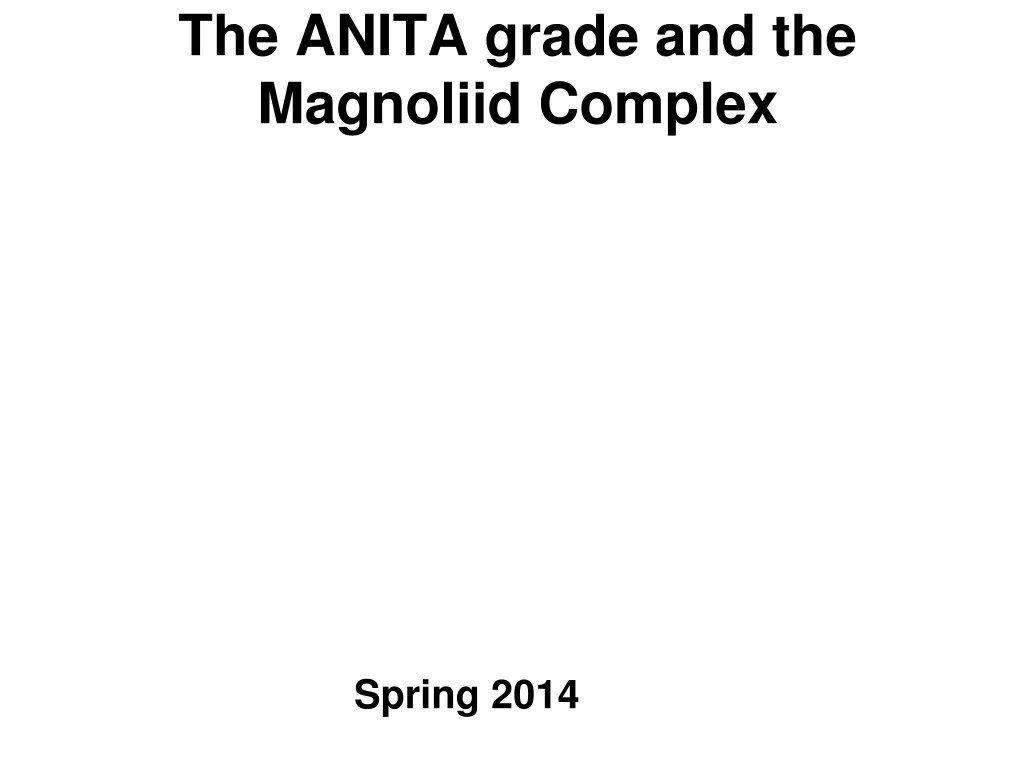 the anita grade and the magnoliid complex n.