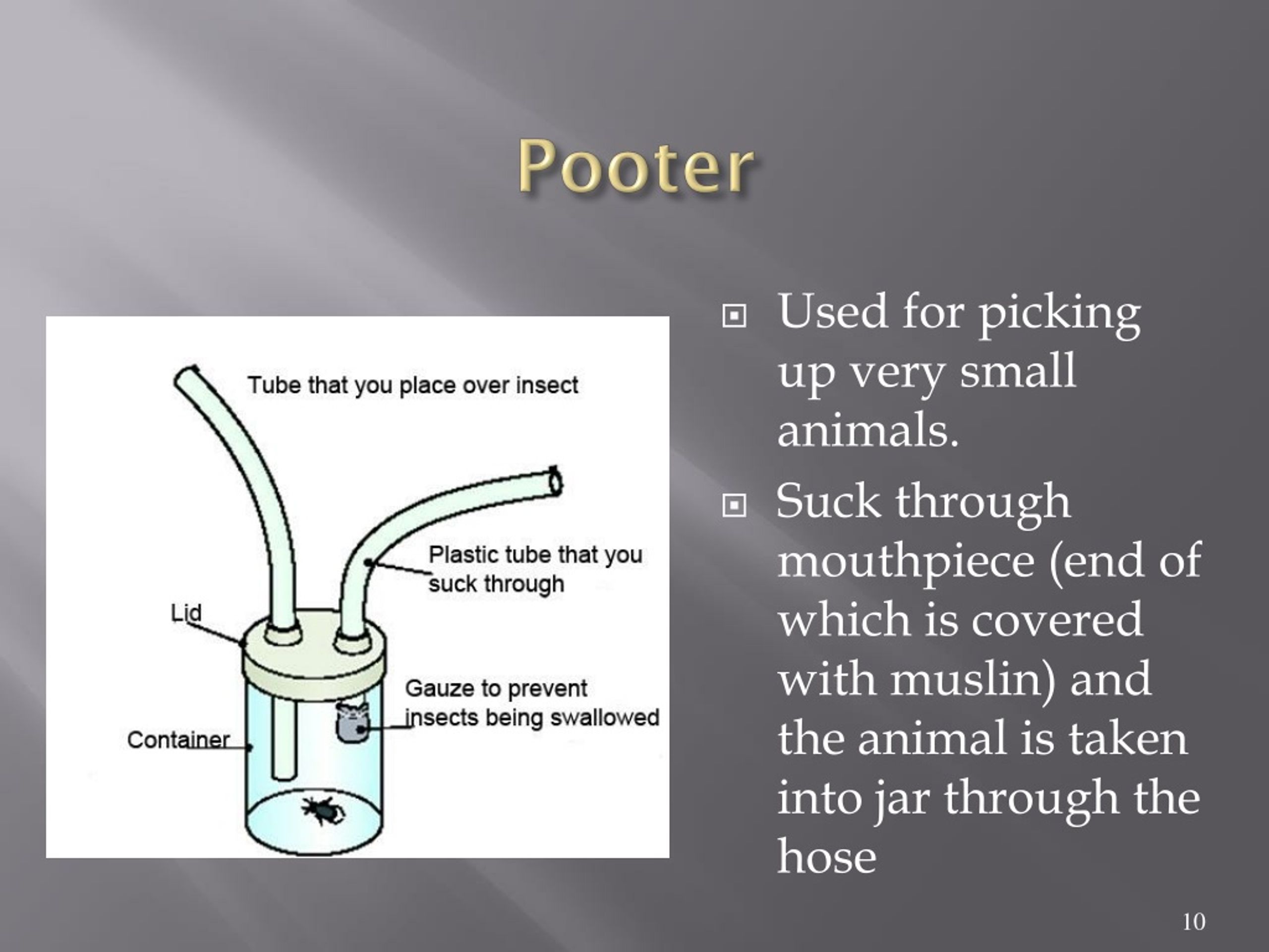 PPT 1 5 2 Ecology Equipment PowerPoint Presentation Free Download 