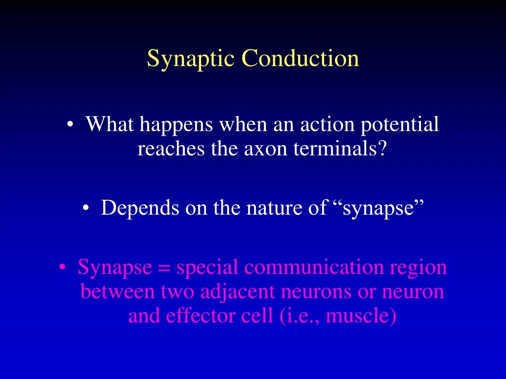 synaptic conduction n.