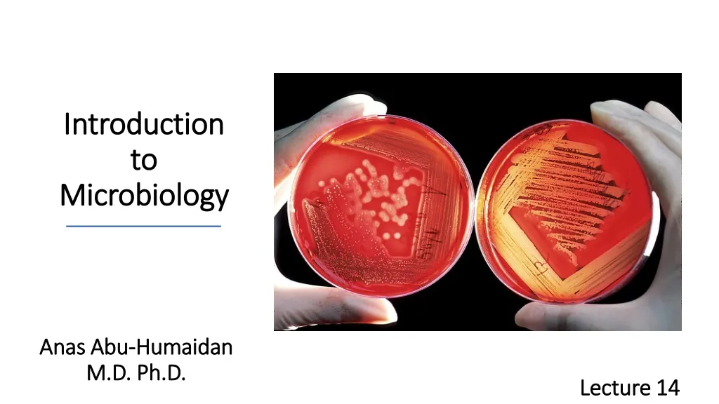 PPT - Introduction To Microbiology PowerPoint Presentation, Free ...