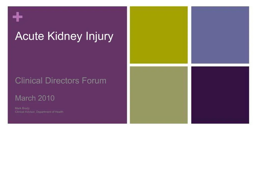 PPT - Acute Kidney Injury PowerPoint Presentation, Free Download - ID ...