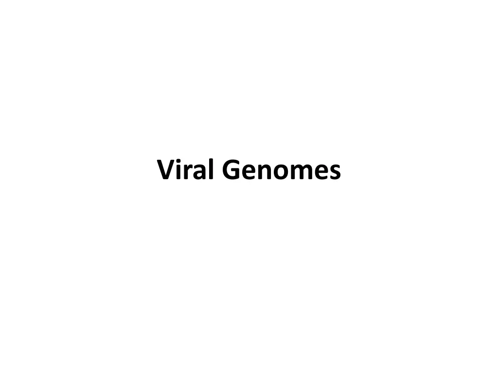 viral genomes n.
