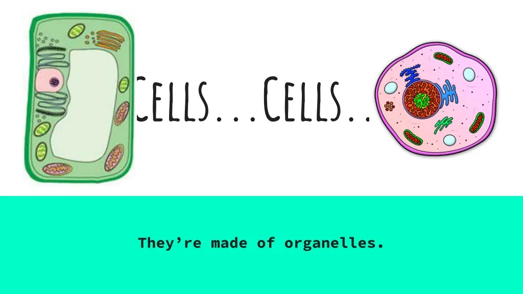 cells cells n.