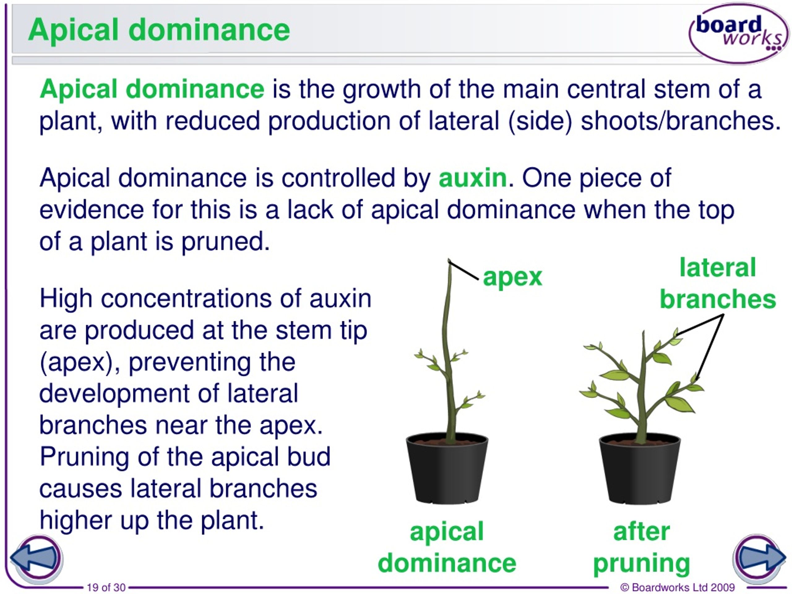 PPT Responses To Environmental Changes PowerPoint Presentation Free 