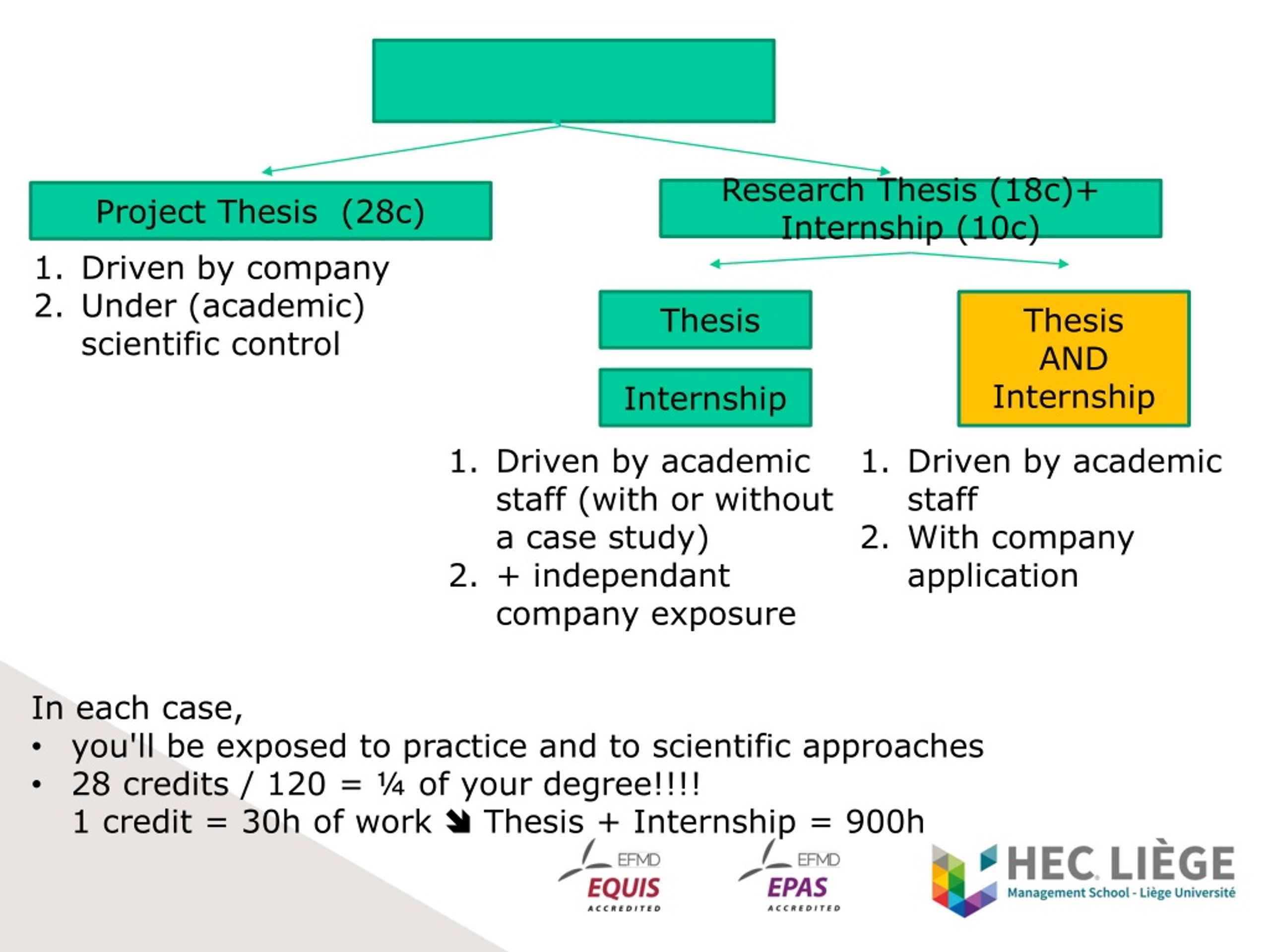 what is a thesis internship