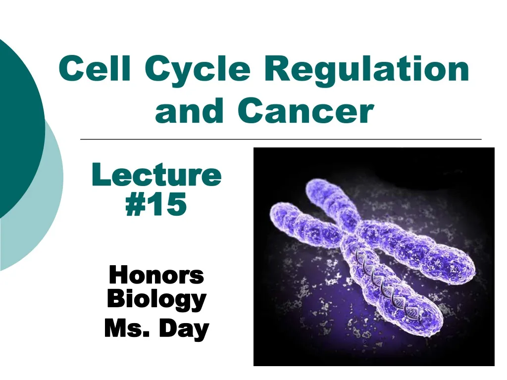 Cell Cycle Regulation and Cancer PowerPoint Presentation free Biology Diagrams