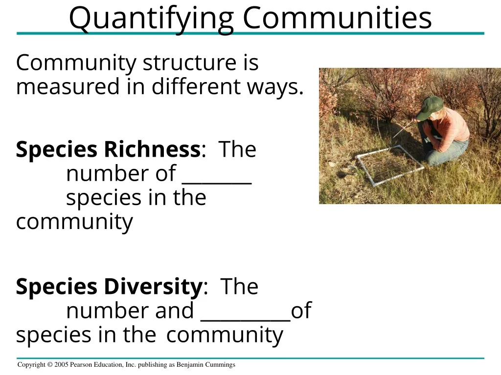 quantifying communities n.