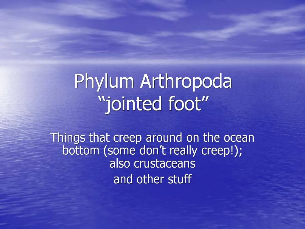 PPT - Phylum Arthropoda jointed foot PowerPoint Presentation, free