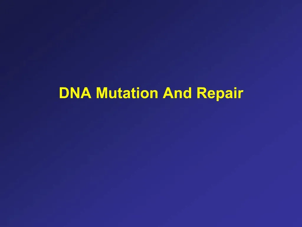 PPT - DNA Mutation And Repair PowerPoint Presentation, free download ...